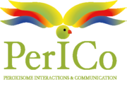 PERICO logo.png