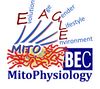 BEC 2020.1 Mitochondrial physiology
