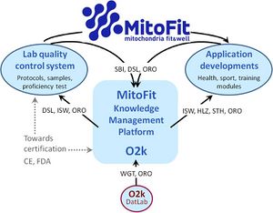 MitoFit project structure.jpg