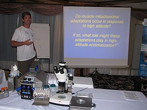 MitoFit Science Camp in July 2016 in Kuehtai, Tyrol, Austria: If muscle mitochondrial adaptations occur in response to high altitude is answered in a presentation by Adam Chicco, one of over 60 participants of the MitoFit Science Camp